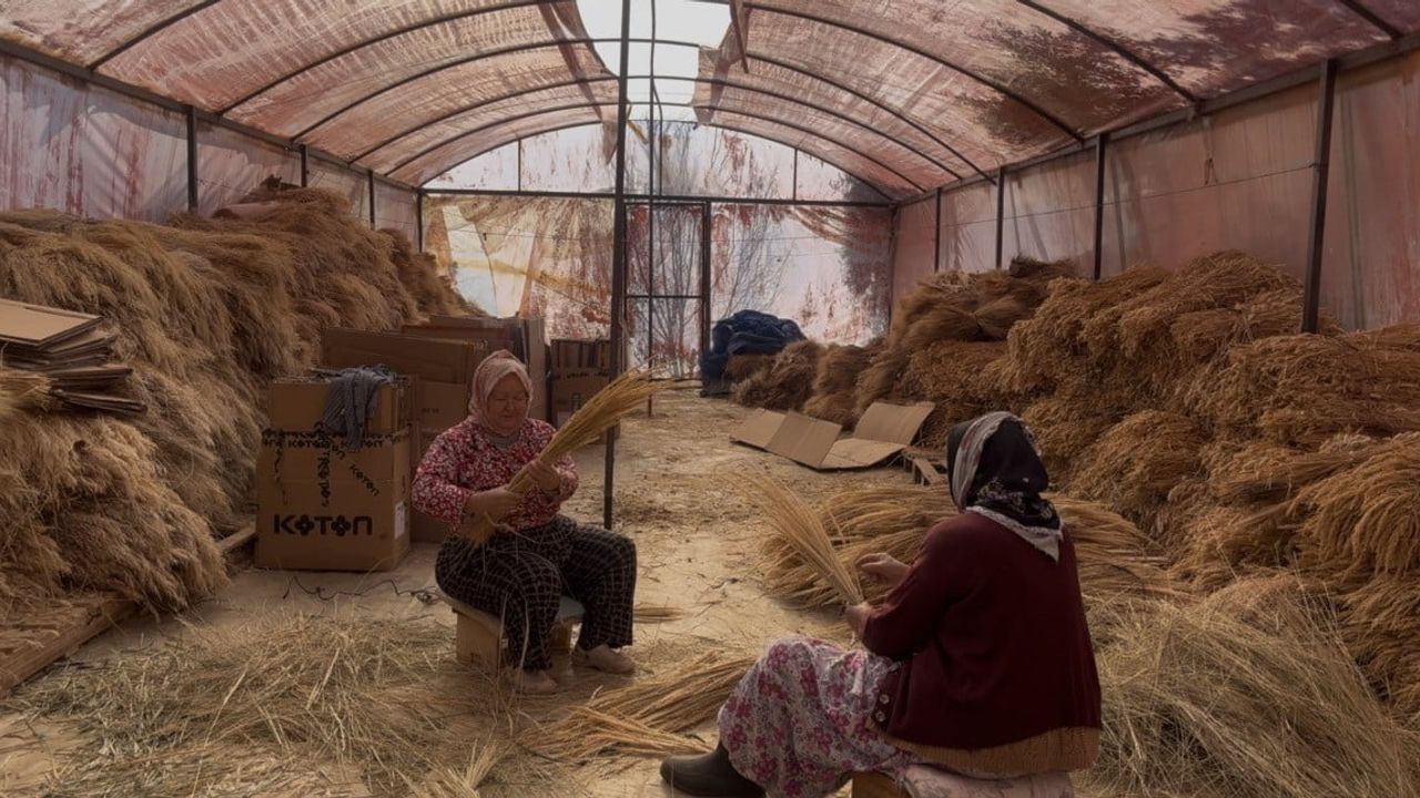 Bayındır’da 5. Turan Mahallesi Nergis ve Kuru Çiçek Festivali başlıyor