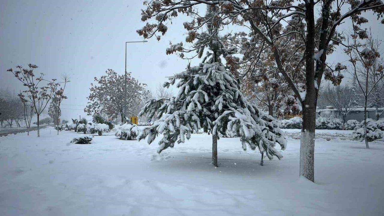 Besni'yi Beyaza Bürüyen Kar İki Gündür Kartpostallık Görüntüler Oluşturdu