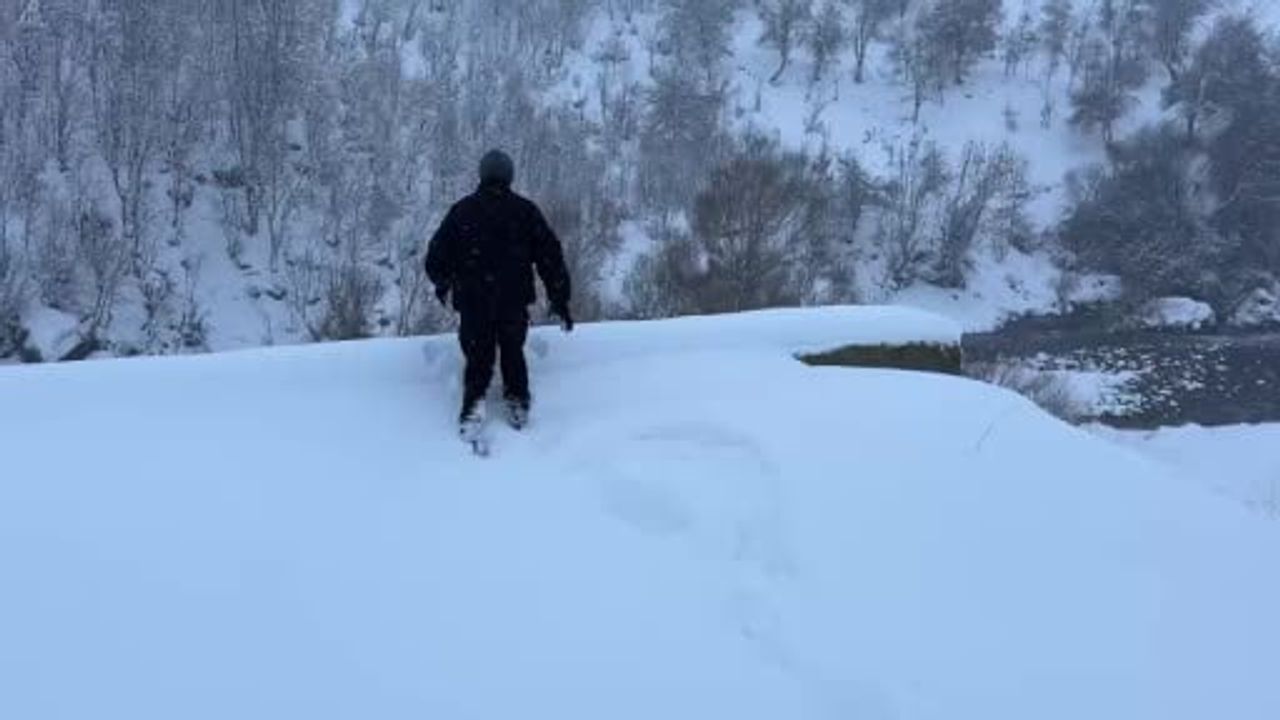 Beytüşşebap'ta 12 köpek yavrusu donmaktan son anda kurtarıldı