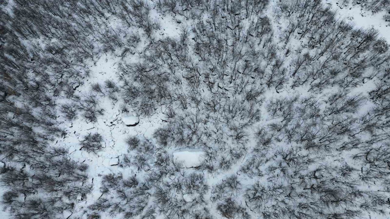 Beytüşşebap'ta bal ormanları karla kaplandı