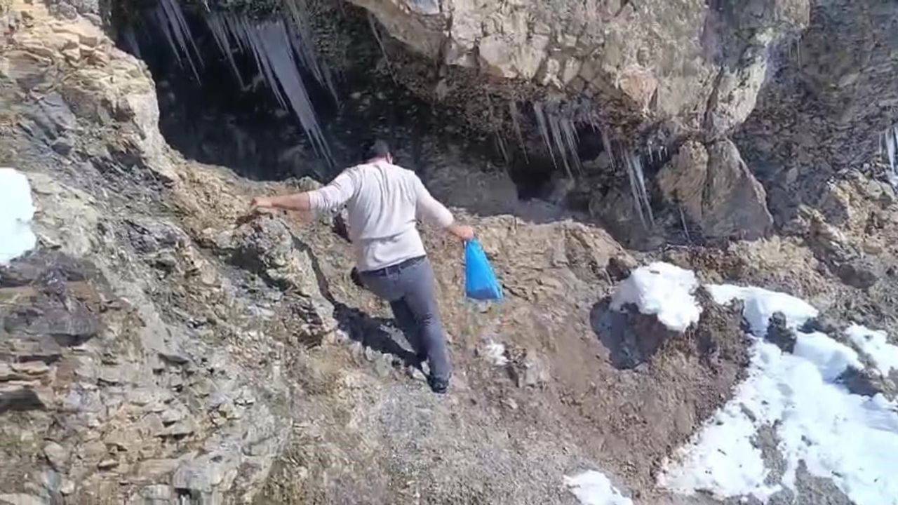 Beytüşşebap'ta gönüllüler kekliklere yem bıraktı