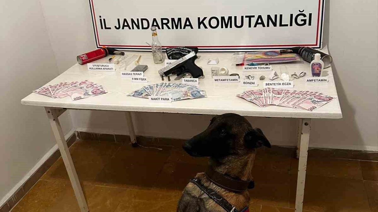 Bilecik Söğüt'te Jandarma Operasyonu: Uyuşturucu ve Silah Ele Geçirildi