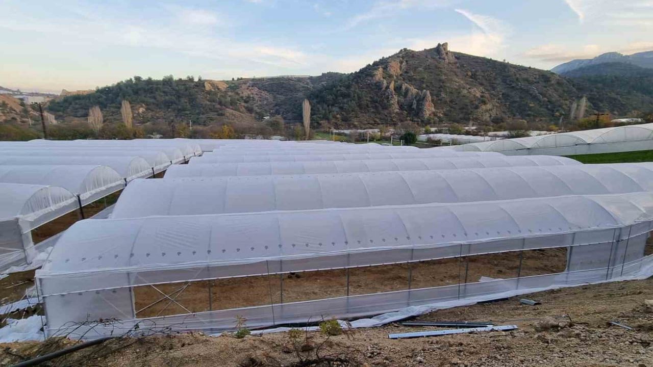 Bilecik’te 2025 kırsal kalkınma destekleriyle üretim büyüdü