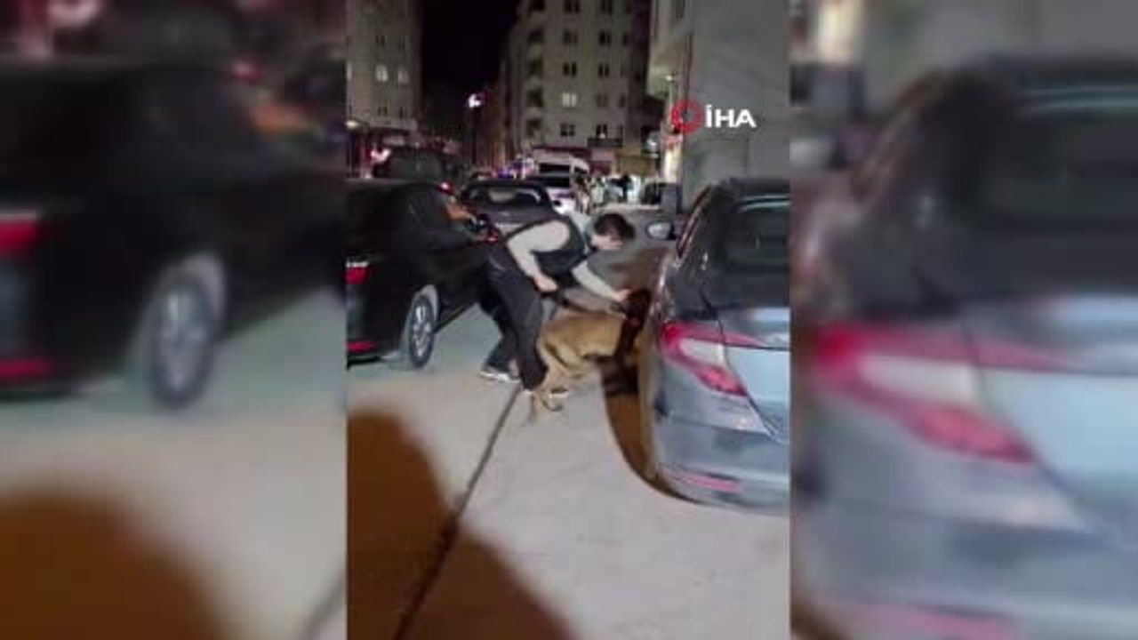 Bilecik'te çadır içinde 220,52 gram 'Skunk' ele geçirildi