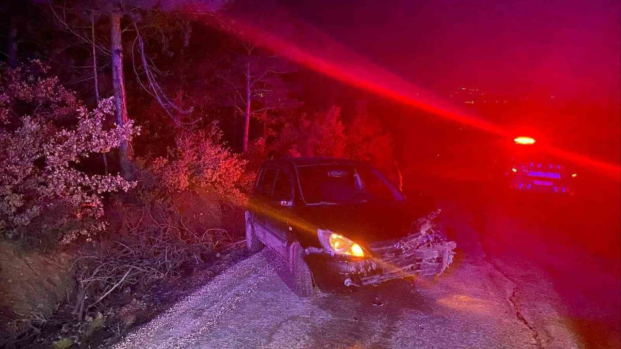 Bilecik’te kontrolden çıkan otomobil ağaca çarptı: 1 yaralı