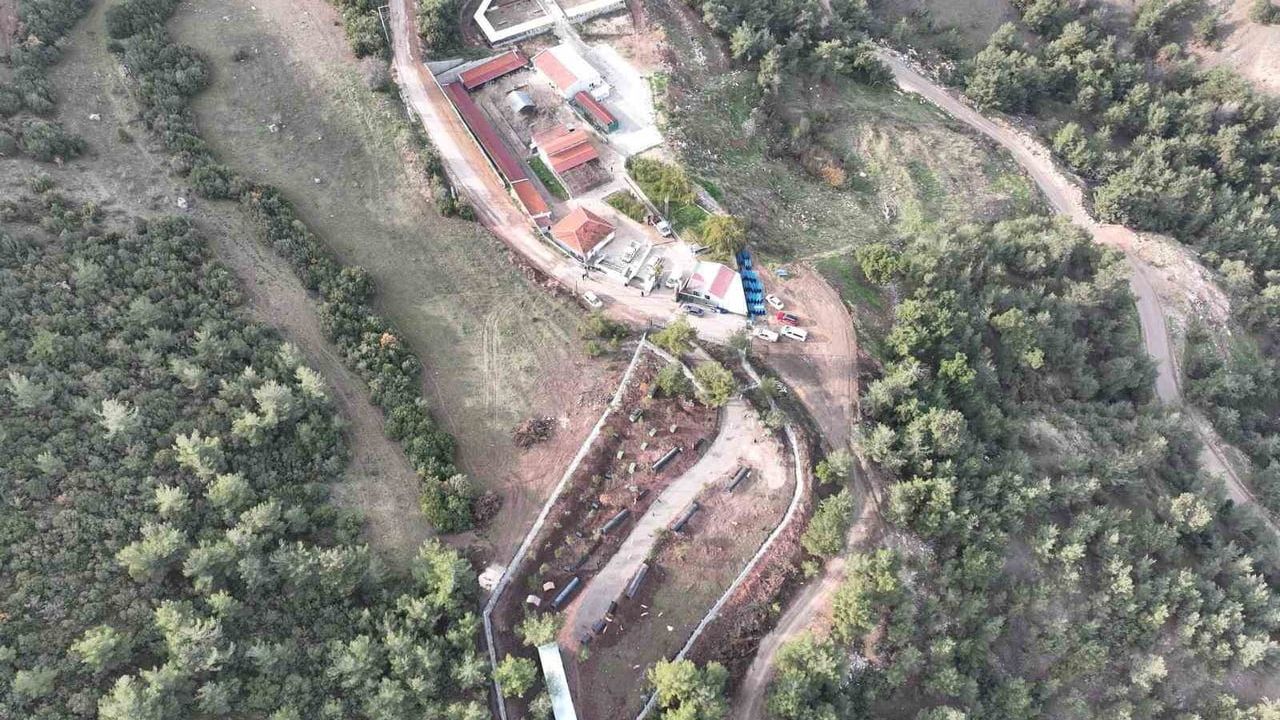 Bilecik’te Sokak Hayvanlarına Sürekli Bakım: Tedavi ve Rehabilitasyon Merkezi Faaliyetleri