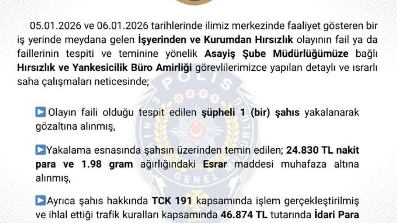 Bingöl'de işyeri hırsızlığı şüphelisi tutuklandı