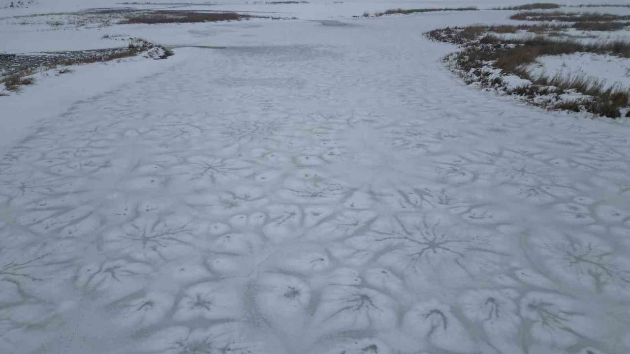 Bitlis’te Göller ve Sulak Alanlar Dondu: Nemrut Krater Gölü ve Çevresi Buzla Kaplandı