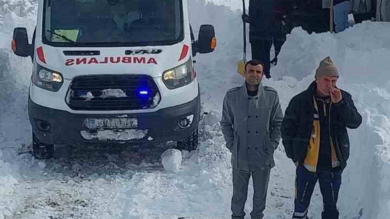 Bitlis'te karla mücadele 7/24 sürüyor