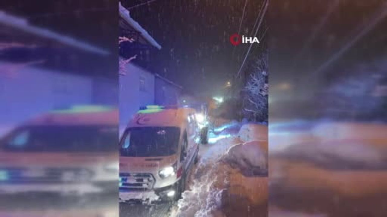 Bitlis'te zorlu kış koşullarında başarılı kurtarma operasyonu
