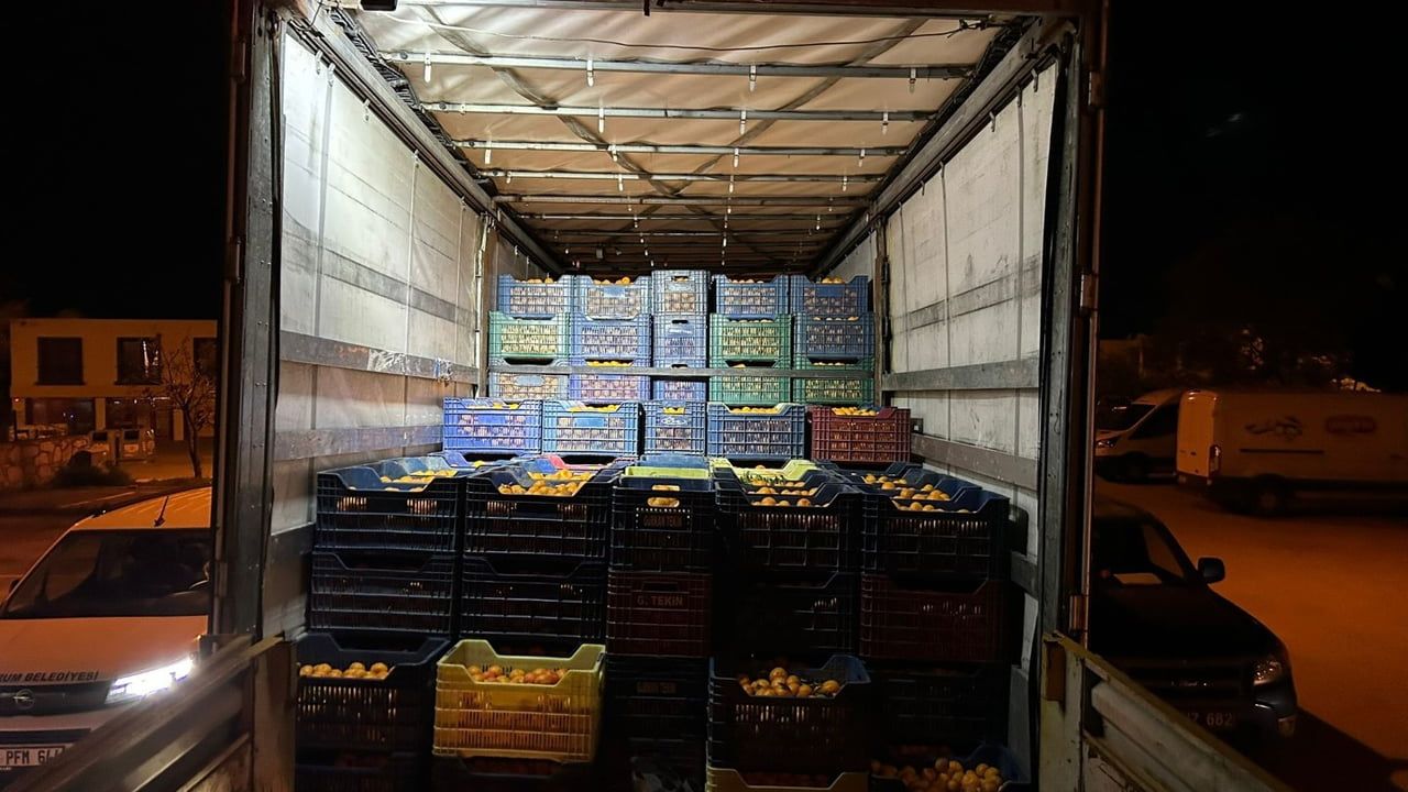 Bodrum Mandalini Türkiye Geneline Dağıtılıyor