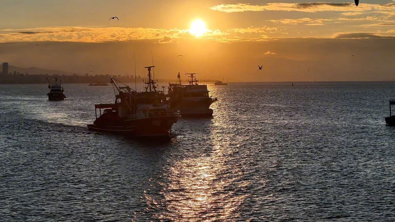 Boğaz'da fırtına sonrası balıkçılar gün doğumunda denize açıldı