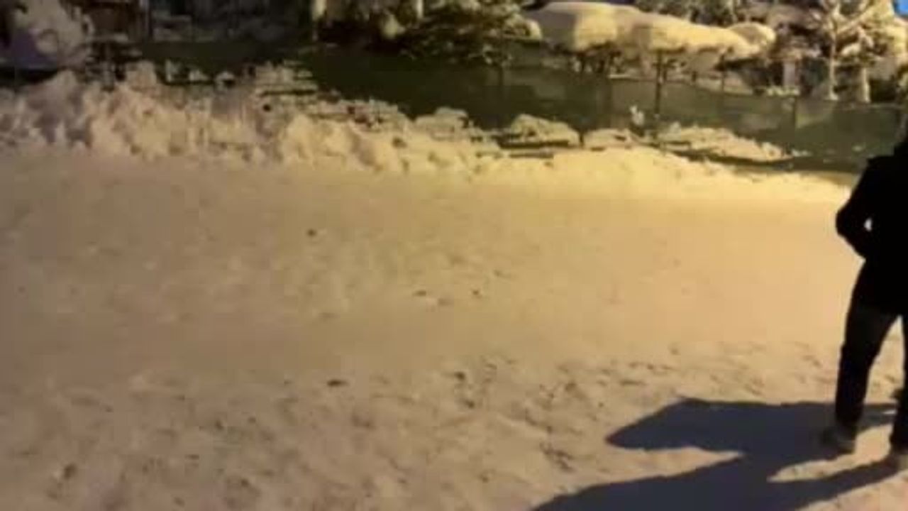 Bolu'da çocuklar gece karın keyfini çıkardı