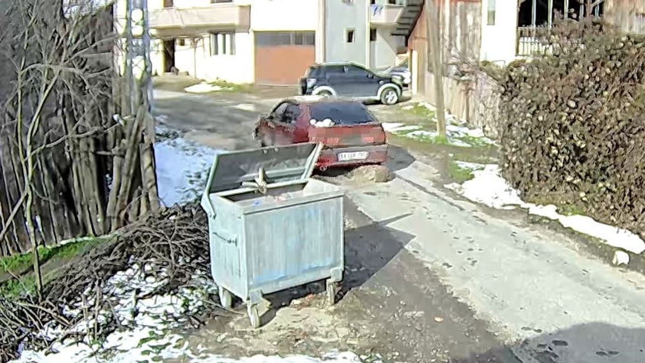 Bolu'da sürücü yolda uyuyan köpeğin üzerinden geçti