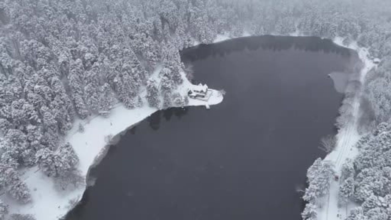 Bolu’nun milli parklarına 2025’te 1 milyon 559 bin 487 ziyaretçi