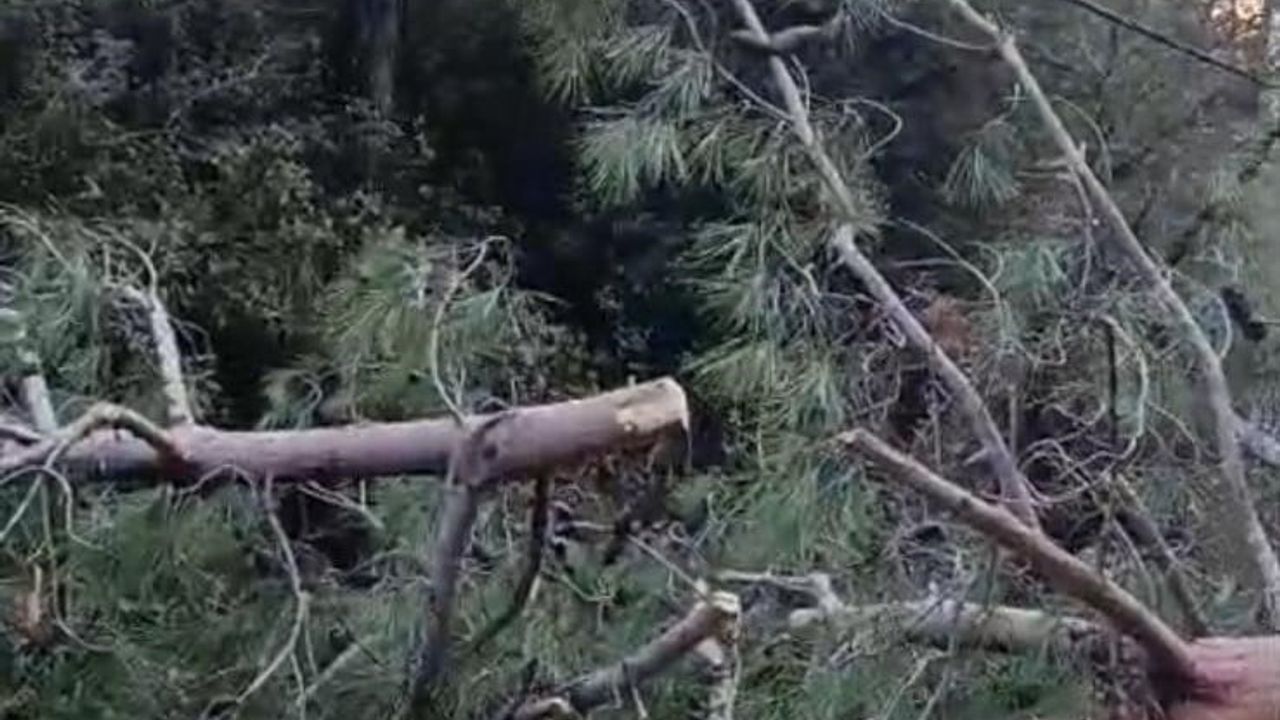 Buldan'da fırtına yolları kapattı