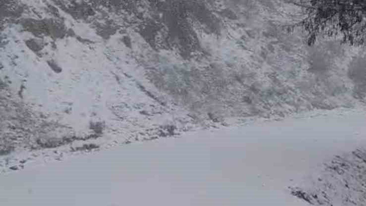 Buldan'da yanan orman sahası karla beyaza döndü