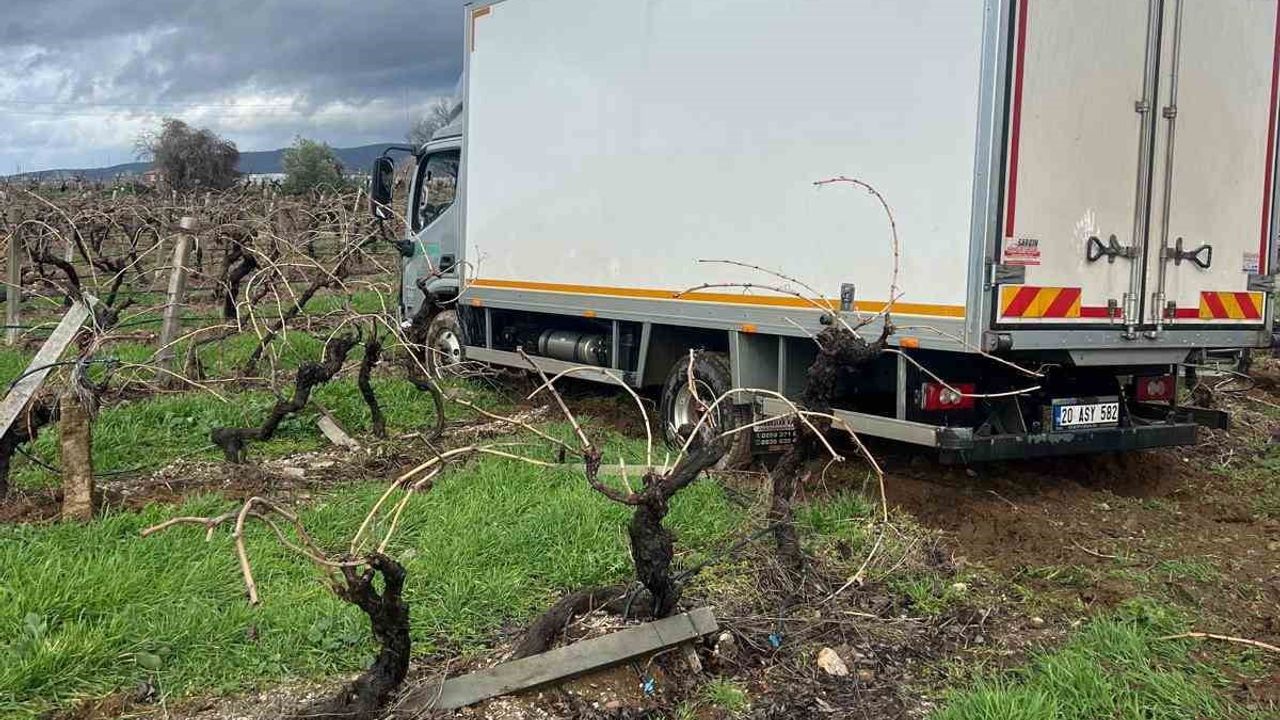 Buldan karayolunda kamyon üzüm bağına girdi