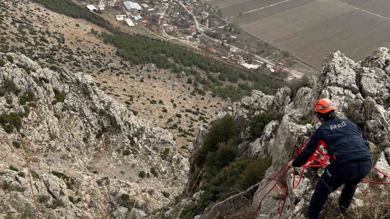 Burdur'da AFAD ekipleri dağda mahsur kalan gebe keçiyi kurtardı