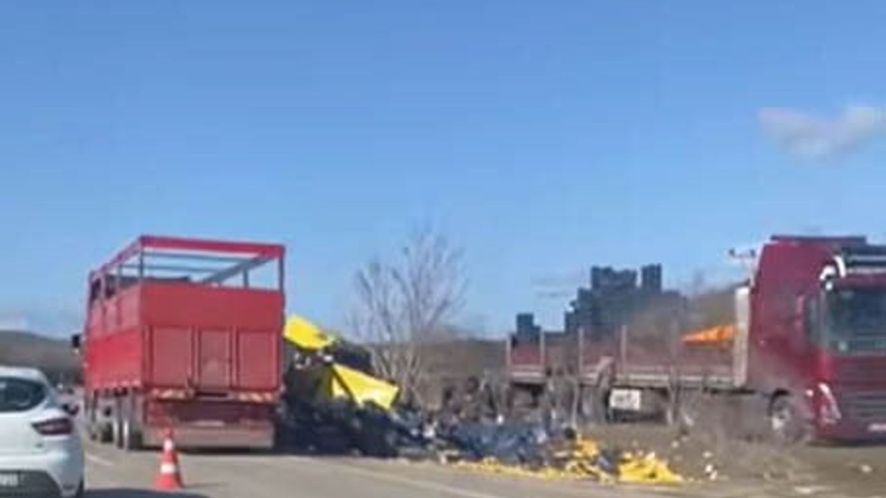 Burdur’da limon yüklü tır şarampole devrildi — yaralanan yok