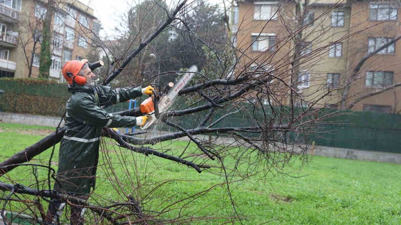 Bursa Büyükşehir ekipleri şiddetli rüzgara karşı sahada