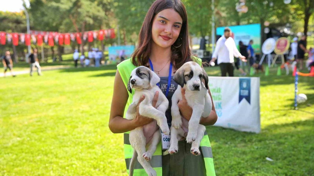 Bursa Büyükşehir, Gümüştepe’de patili dostların bakımında aktif rol aldı