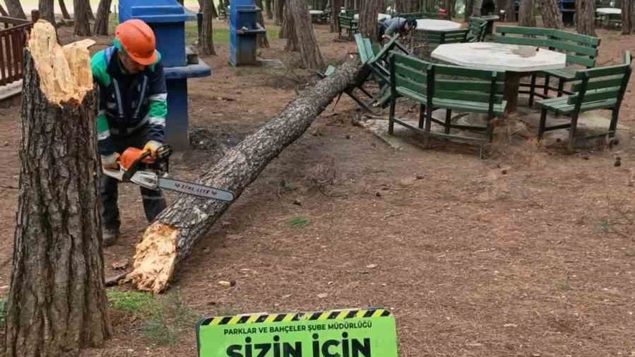 Bursa'da lodos alarmı: Büyükşehir ekipleri 50 ihbara müdahale etti