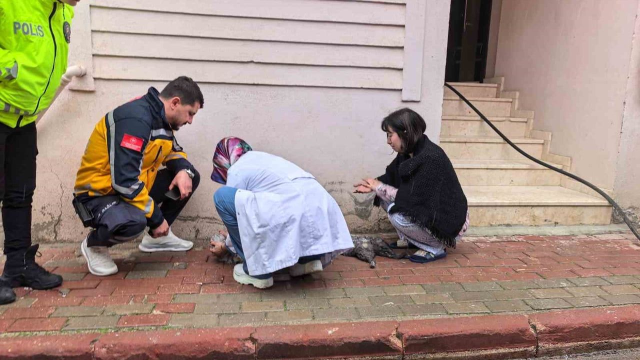 Bursa İnegöl'de apartman yangınında 2 kedi hayatını kaybetti, çocuklar tahliye edildi