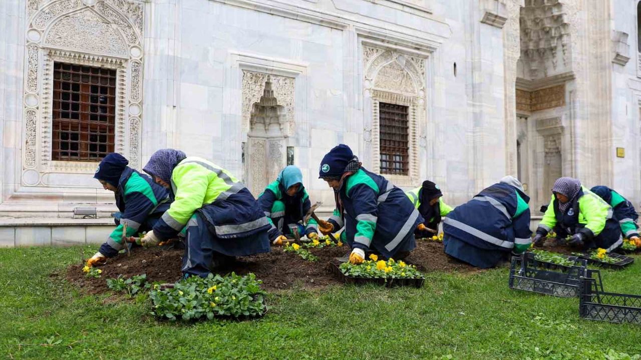 Bursa kışın da çiçeklerle canlanıyor