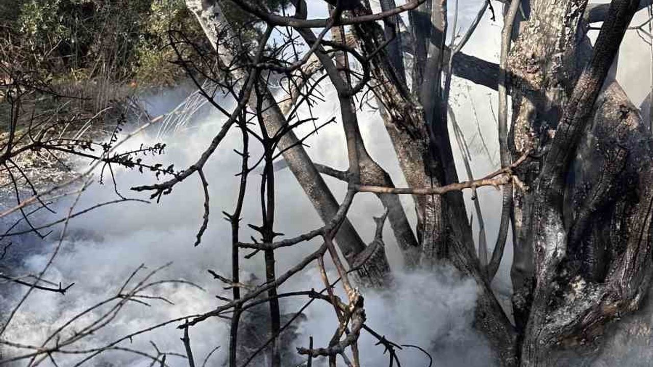 Bursa Mudanya'da çalı yangını itfaiye tarafından büyümeden söndürüldü