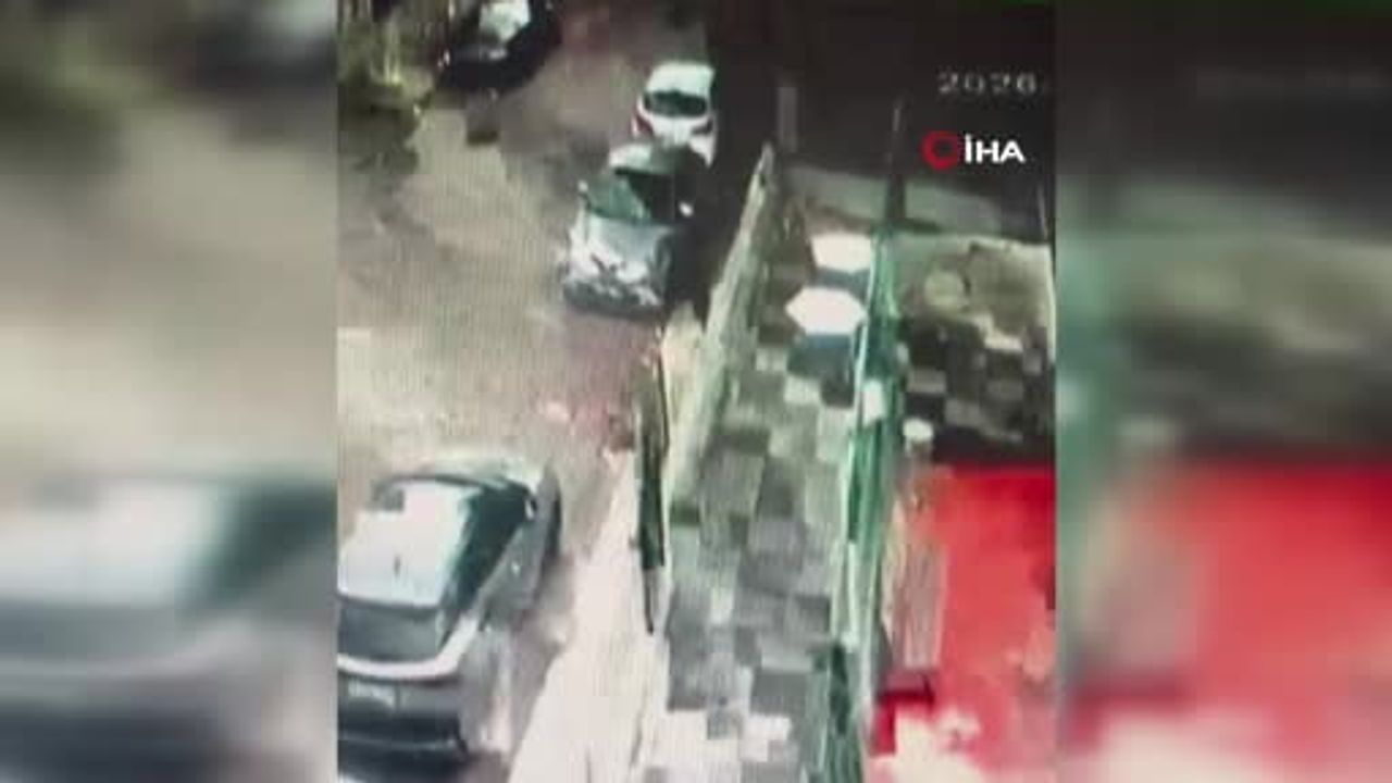 Büyükçekmece'de fırtına çam ağacını araba üzerine devirdi