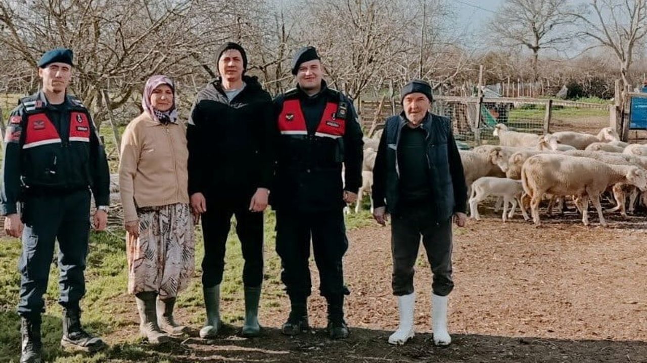 Çanakkale Danişment’te kaybolan 24 küçükbaş hayvan jandarma ekiplerince bulundu