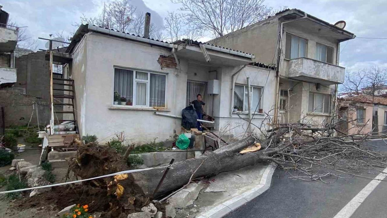 Çanakkale'de lodos: Gelibolu'da devrilen ağaç ev çatısına zarar verdi