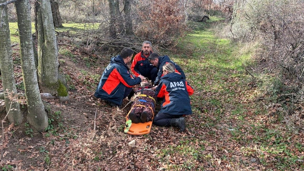 Çanakkale Ezine'de kaybolan demans hastası sağ bulundu