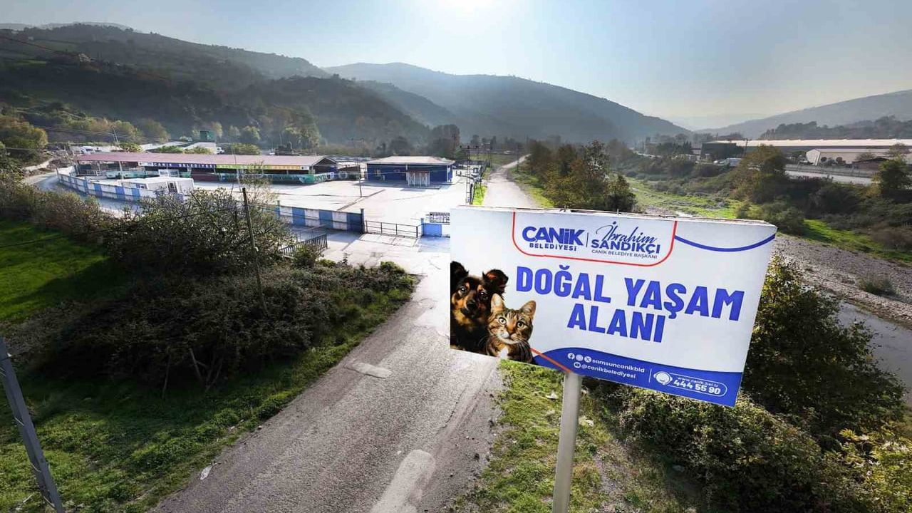 Canik Belediyesi doğal yaşam alanı sokak hayvanlarına kucak açıyor