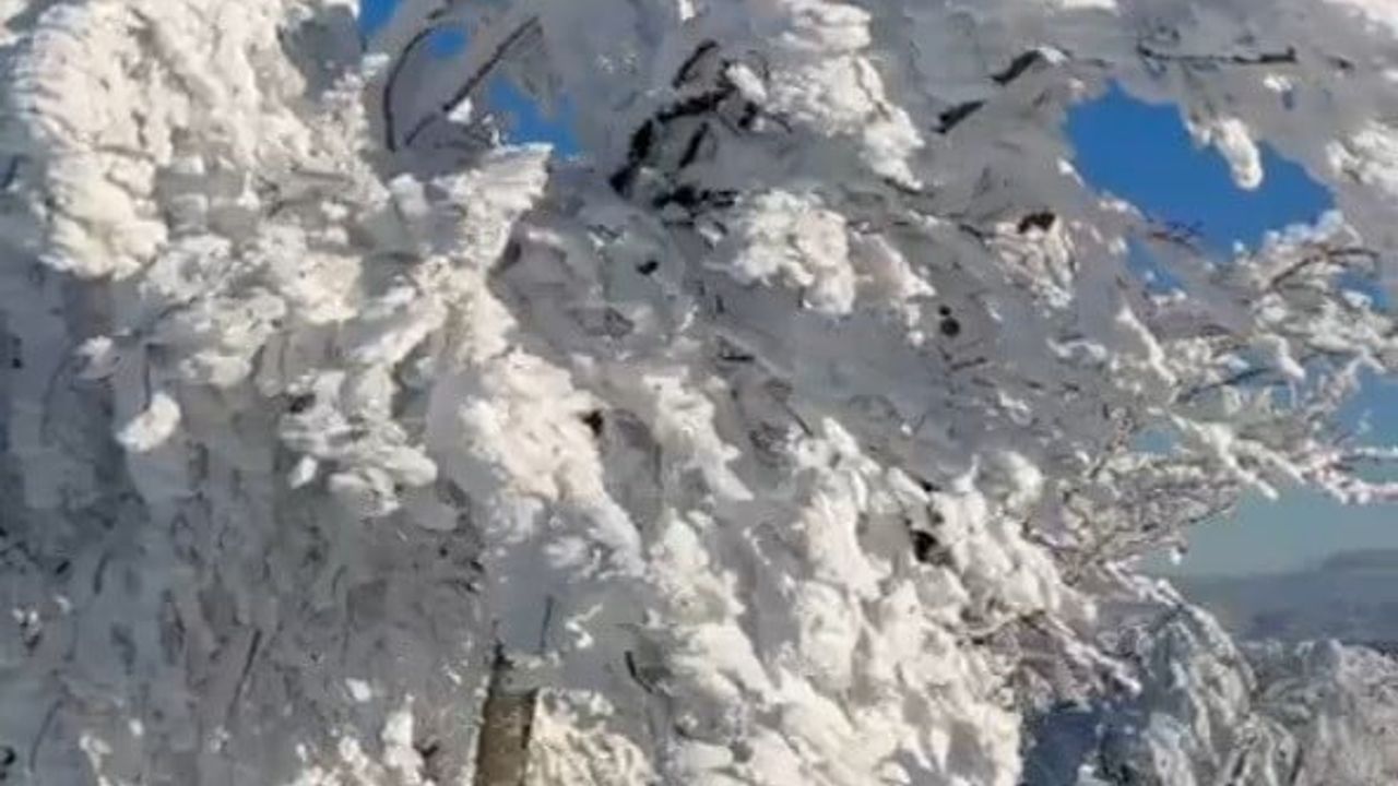 Çataldağ Zirvesi Donmuş Manzarasıyla Sibirya’yı Andırdı