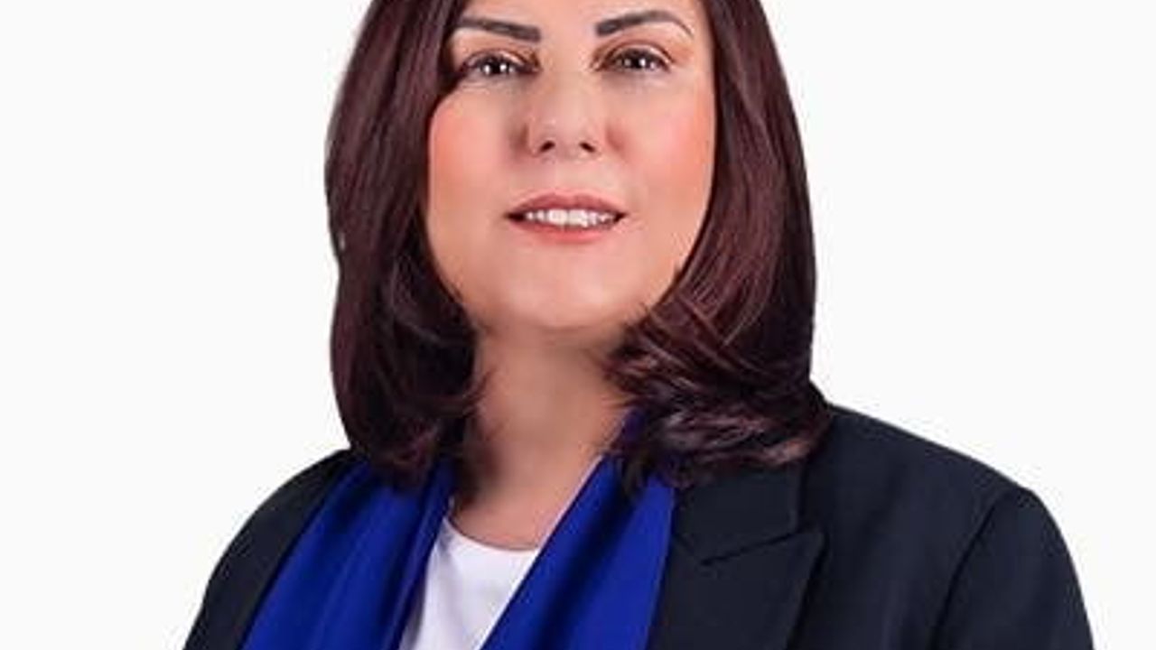 Çerçioğlu Özel hakkında suç duyurusunda bulundu