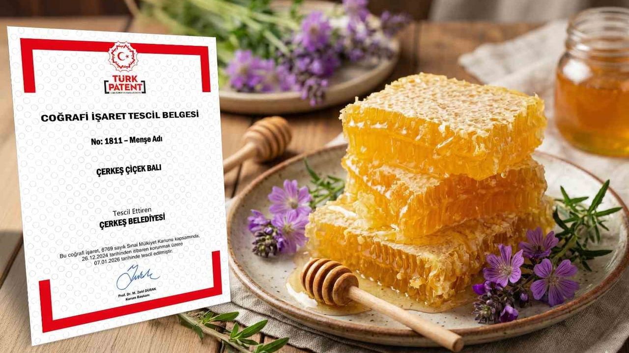 Çerkeş Çiçek Balı’na coğrafi işaret tescili verildi