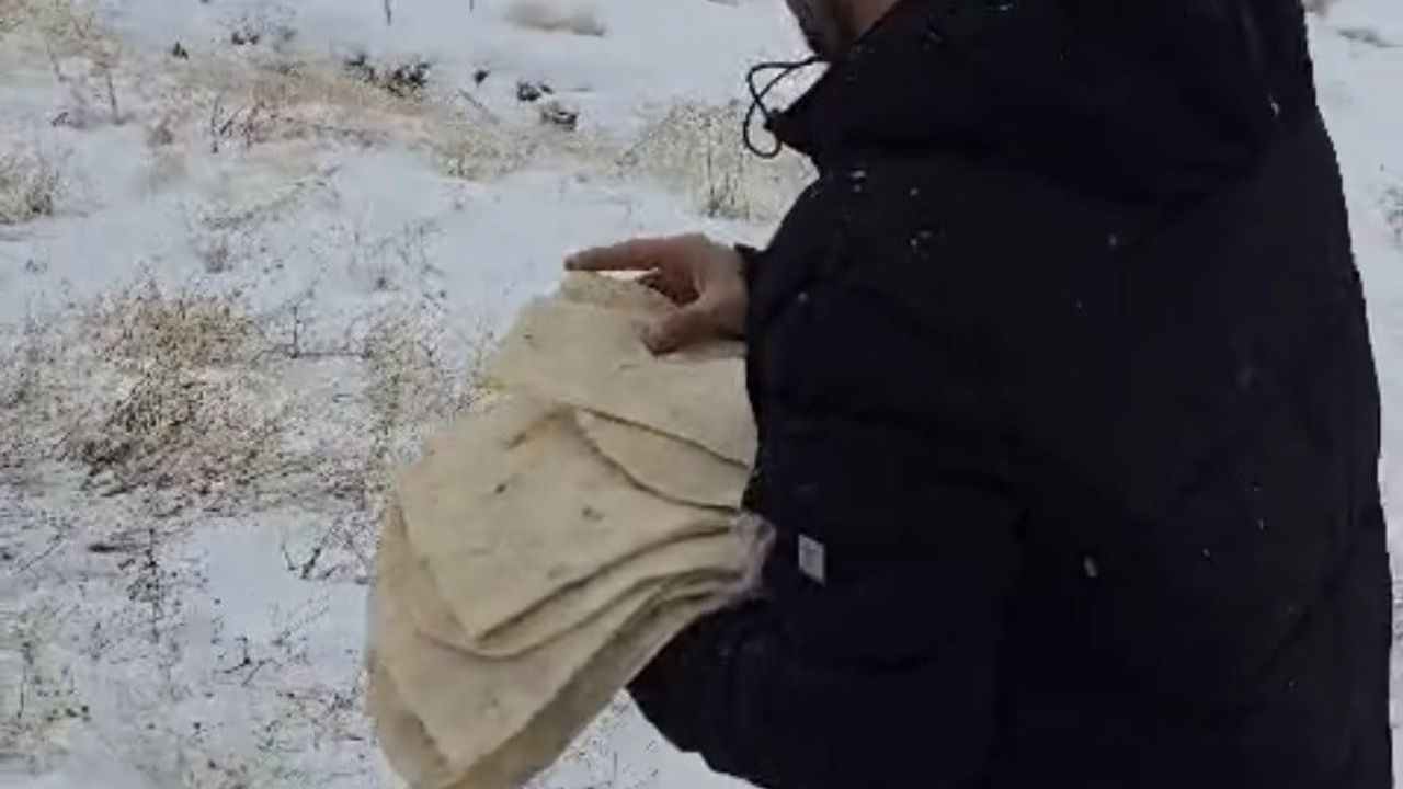 Çermik'te esnaftan yaban hayvanlarına yem desteği