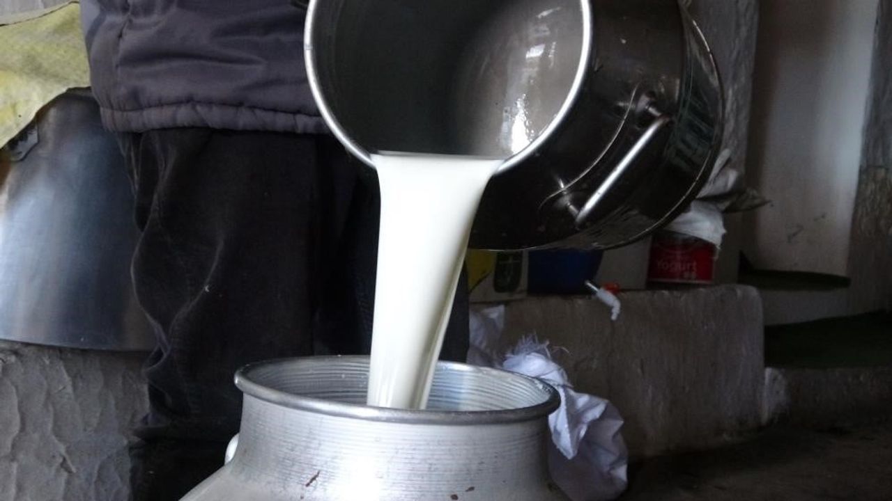 Çiğ süt fiyatı belirlendi: litre başına 22,22 TL