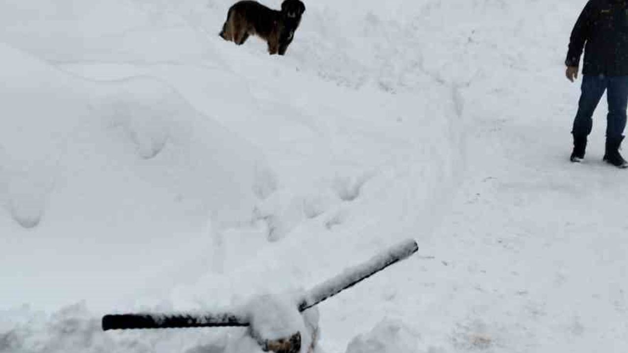 Çiğdemlik'te köylüler karı kendi imkanlarıyla temizledi