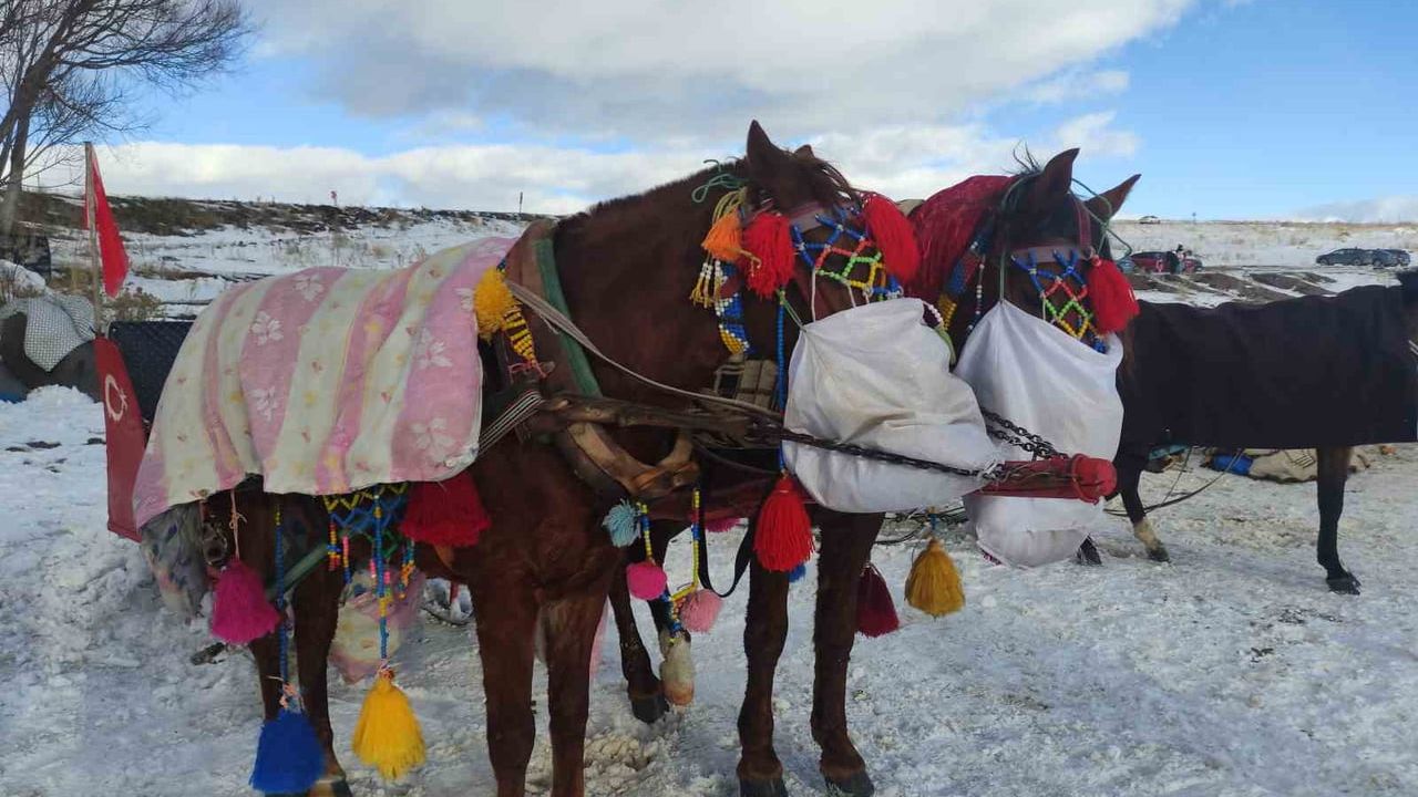 Çıldır Gölü yüzeyi buzla kaplandı, ziyaretçiler atlı kızakla gezinti yapıyor