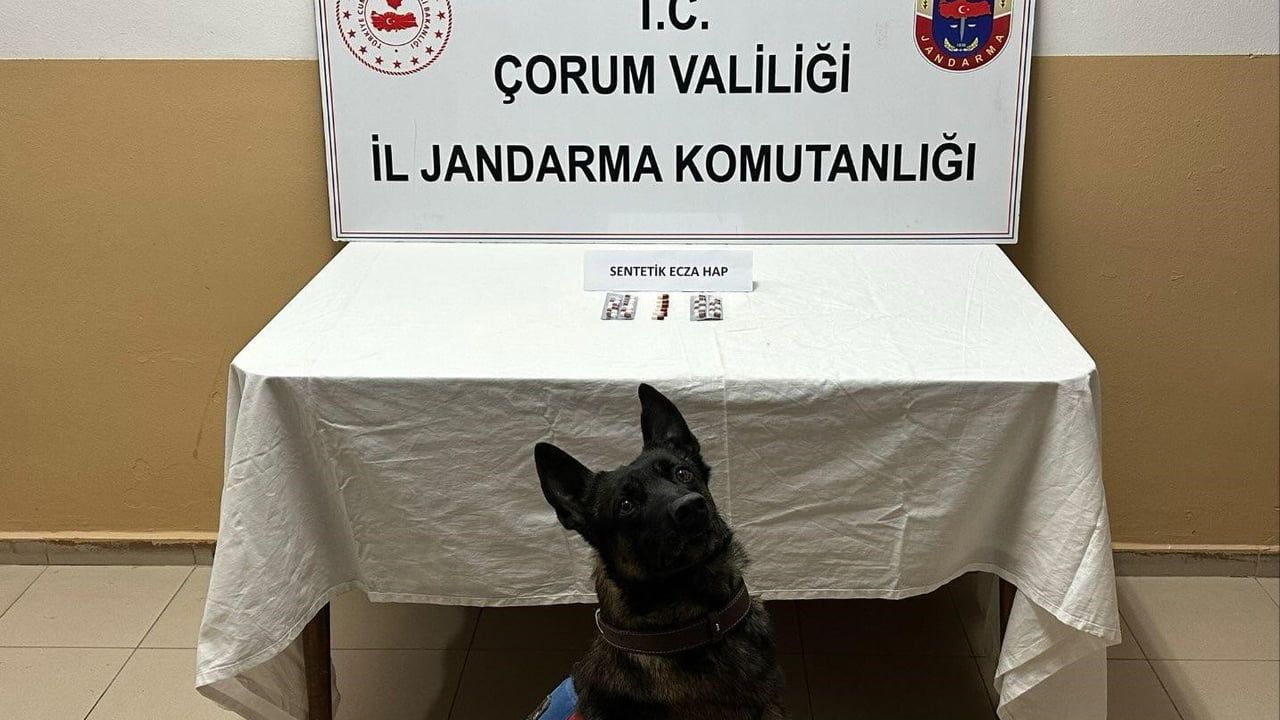 Çorum Alaca'da 32 Sentetik Ecza Hapla Yakalanan 3 Kişi Gözaltına Alındı