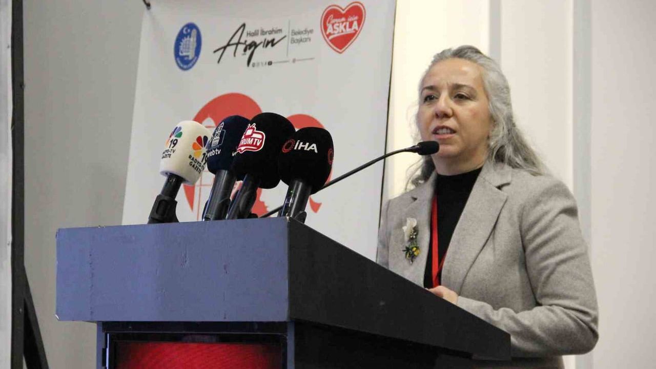 Çorum'da 'Anne Dostu Şehir' çalıştayıyla uygulama adımı atıldı