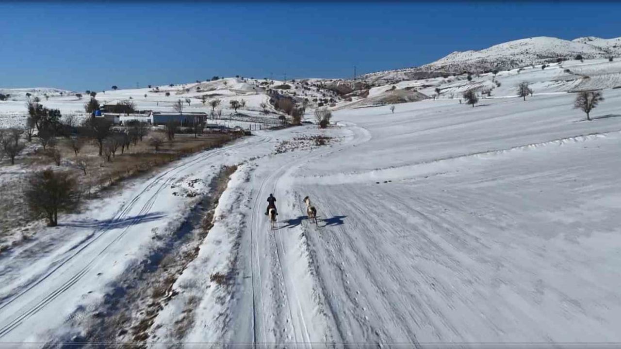 Çubuk'ta doğal ortaklık: Özgür Peştanlı ve onlarca hayvanın hayatı