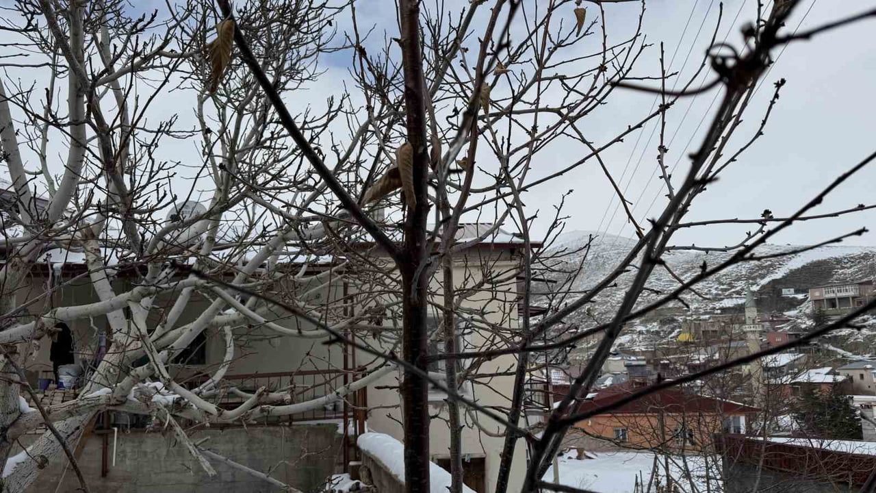 Çukurova'da yağışlar çiftçiye nefes aldı: 52 yıllık kuraklık etkisi azalıyor