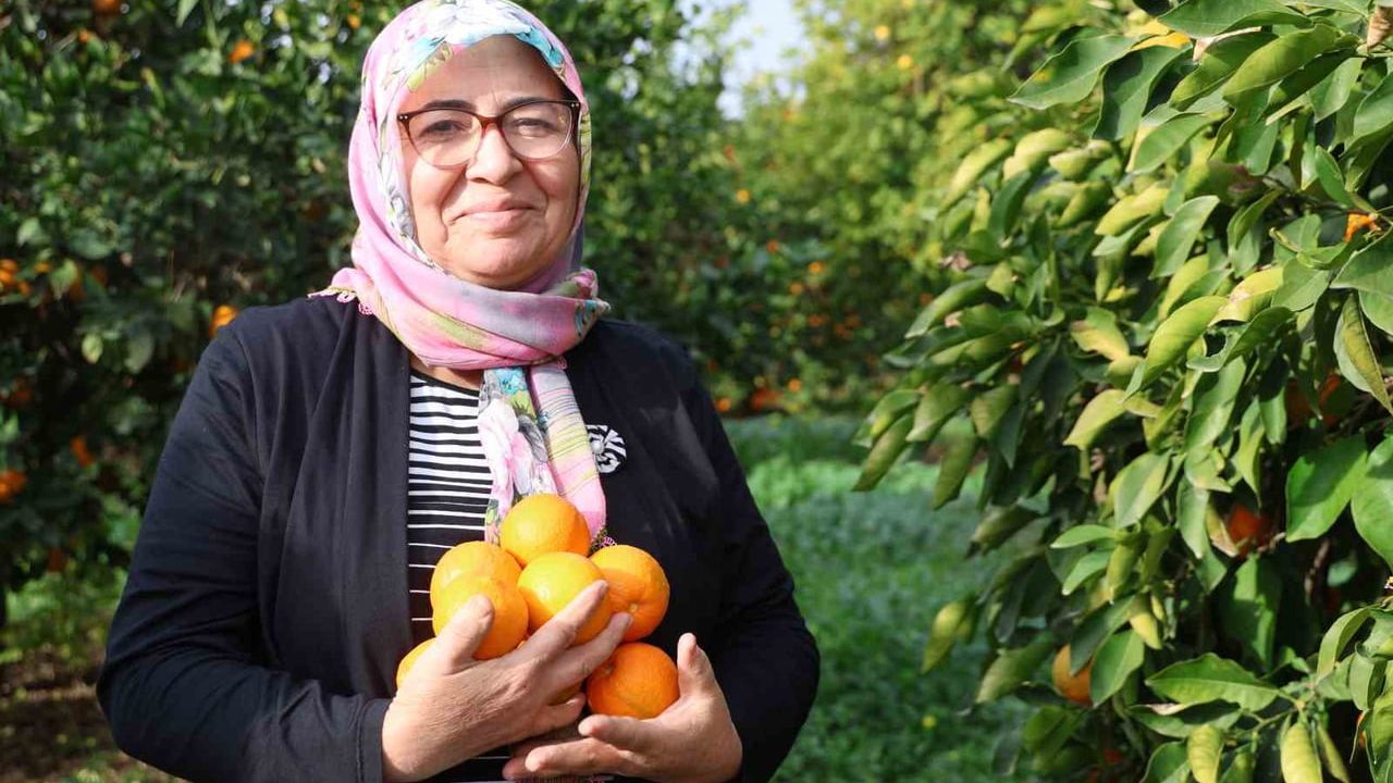 Dalında 5 TL’lik turunç, Kozanlı kadınların kara kazanında değerleniyor