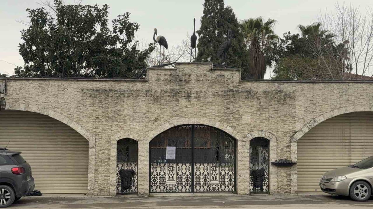 Darıca Hayvanat Bahçesi kapatıldı — hayvanlar farklı illere nakledildi