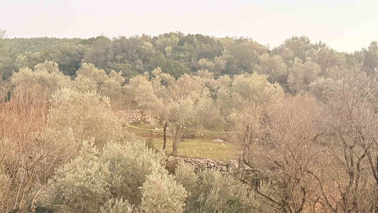 Datça'da tarlada fenalaşan kişi yaşamını yitirdi