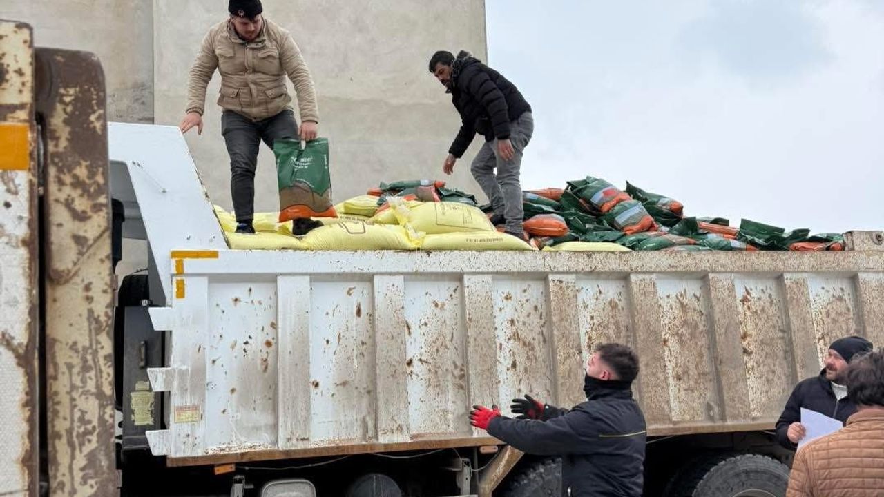 Demirözü'nde 210 Üreticiye Yüzde 100 Hibeli Tarımsal Destek